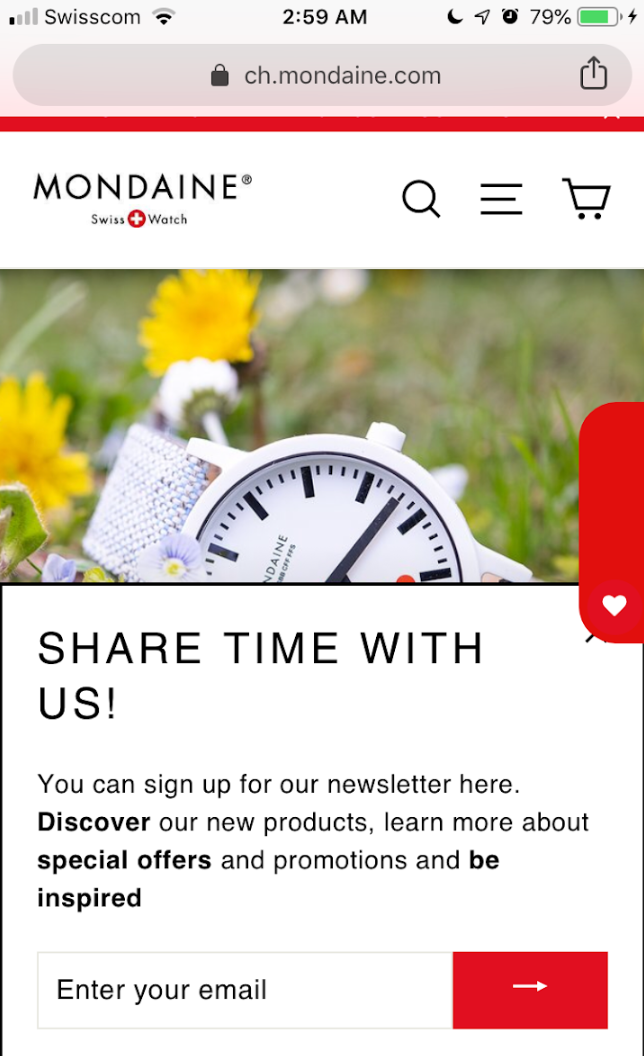 Newsletters | Mondaine